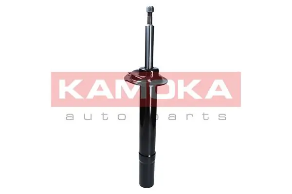 Shock Absorber 2000482
