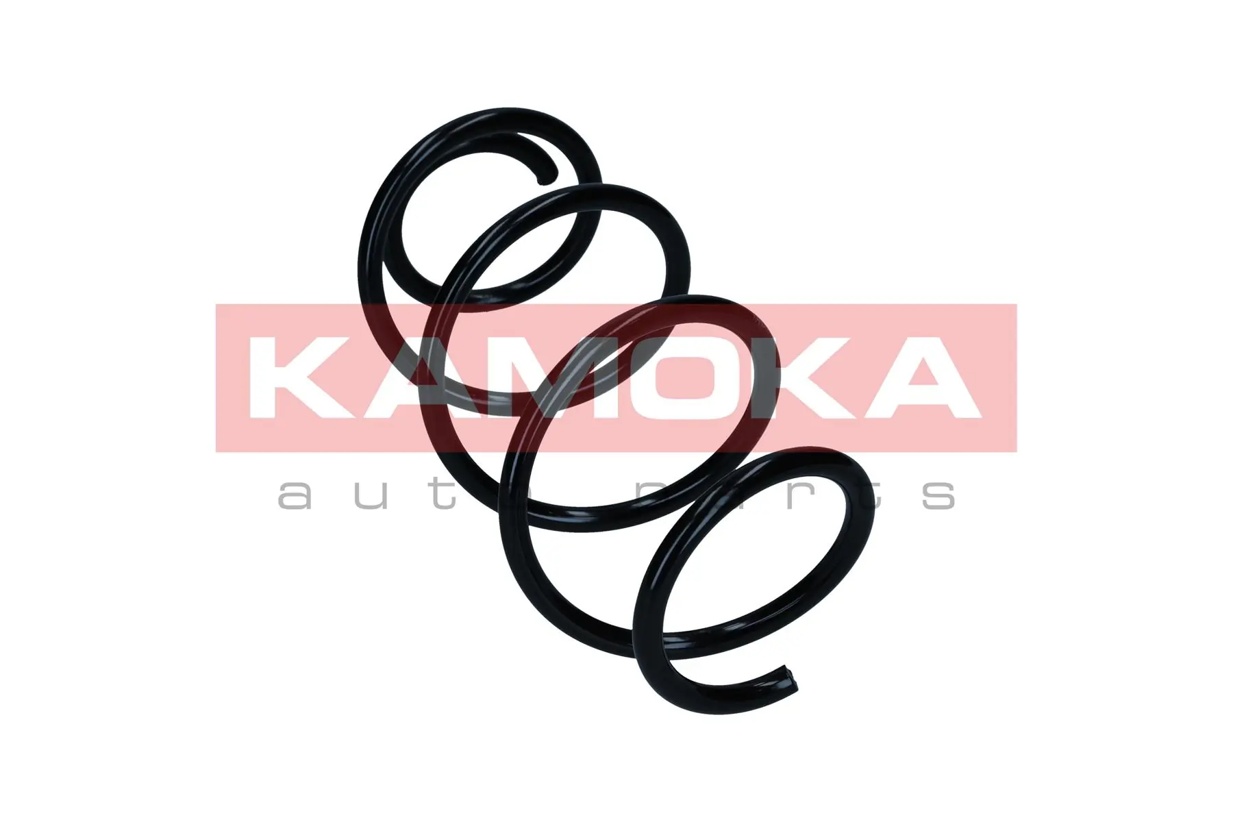 Suspension Spring 2110844