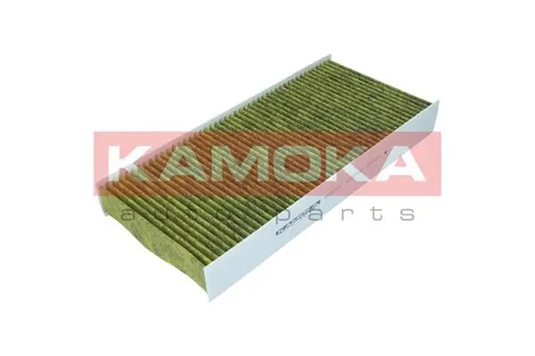 Filter, cabin air 6080051