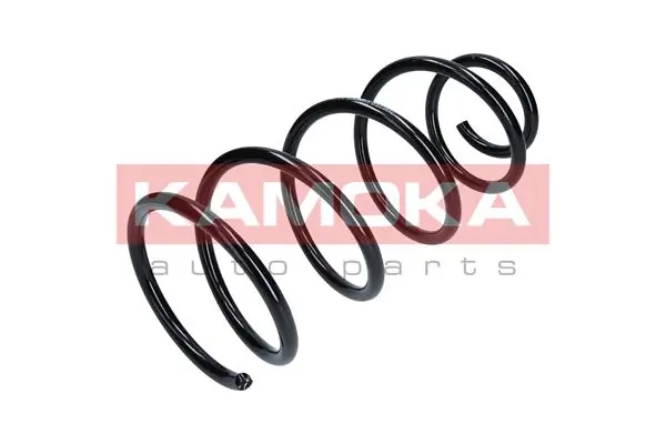 Suspension Spring 2110259