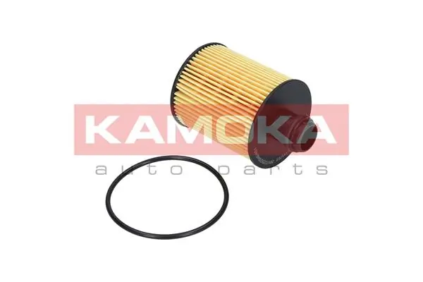 Oil Filter F111701