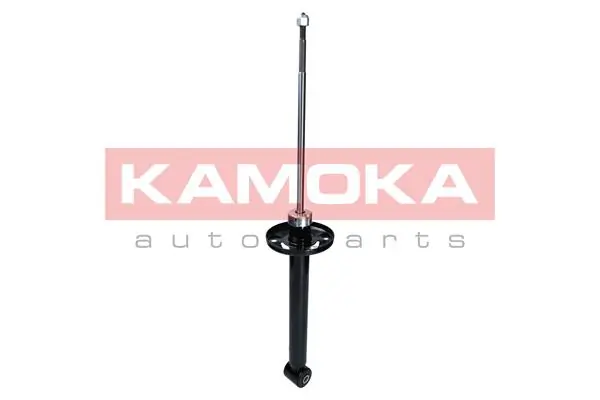 Shock Absorber 2000982