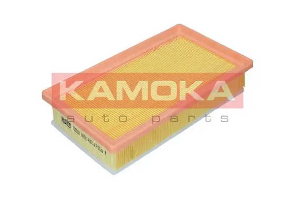 Air Filter F252101