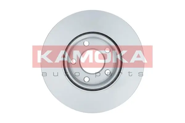 Brake Disc 1031123