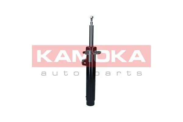 Shock Absorber 2001121