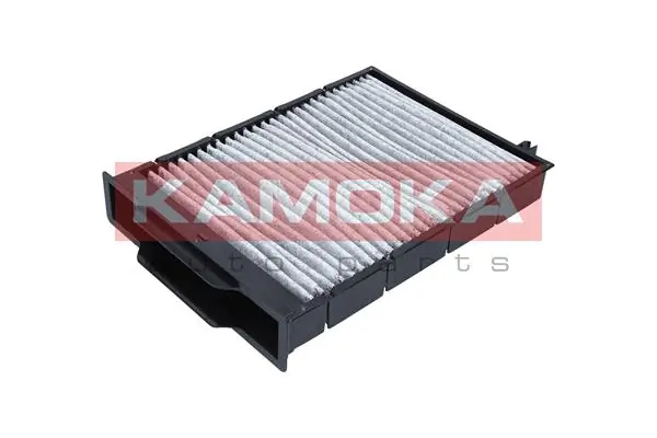 Filter, cabin air F504001