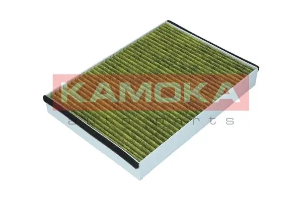 Filter, cabin air 6080050