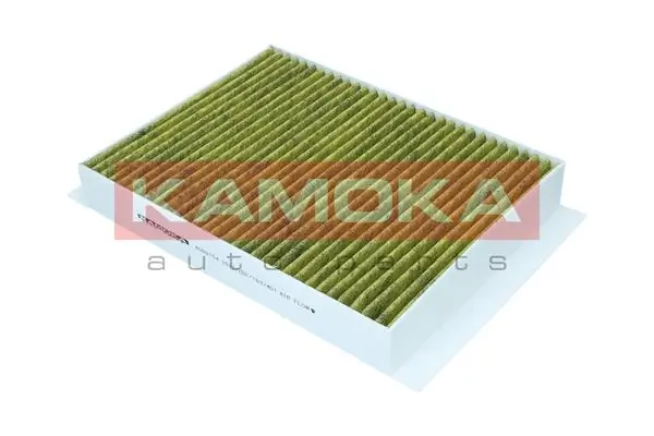 Filter, cabin air 6080154