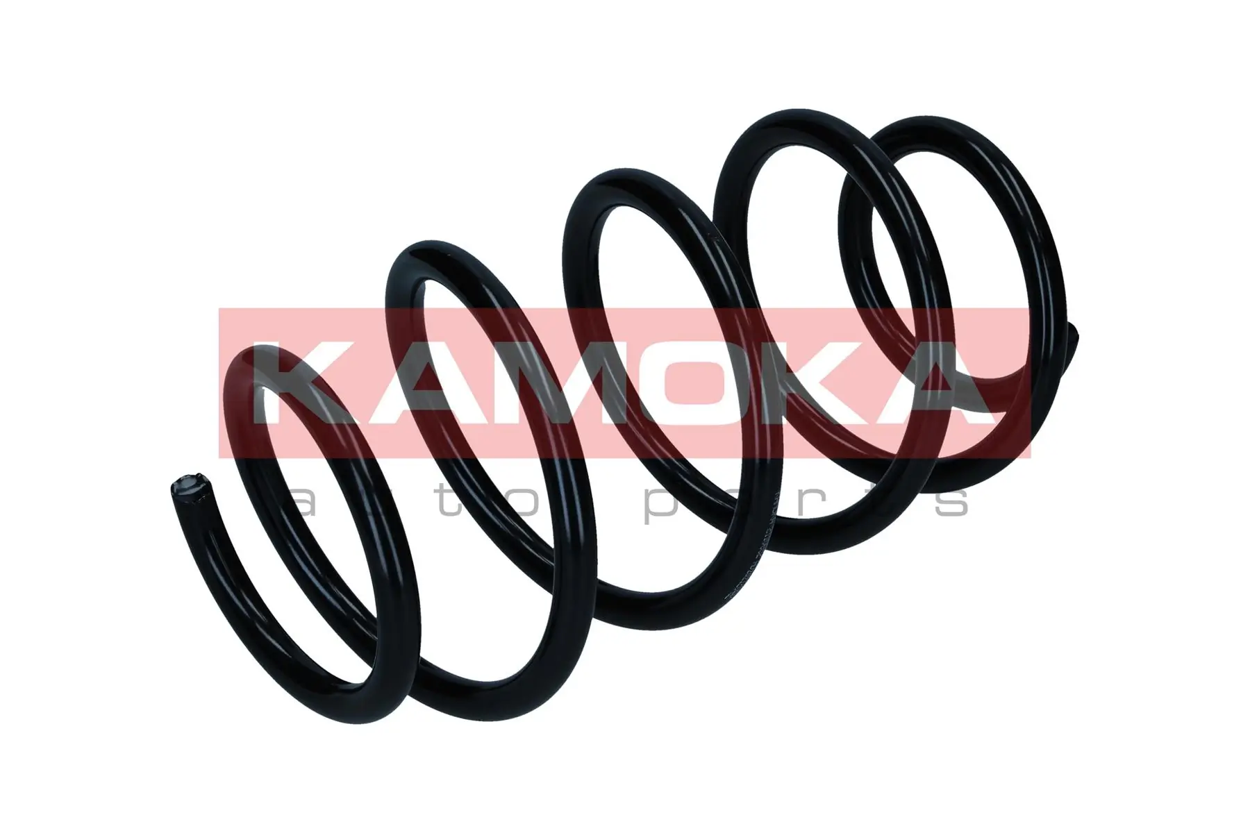 Suspension Spring 2110652