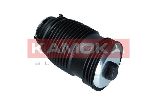 Air Spring, suspension 2079048