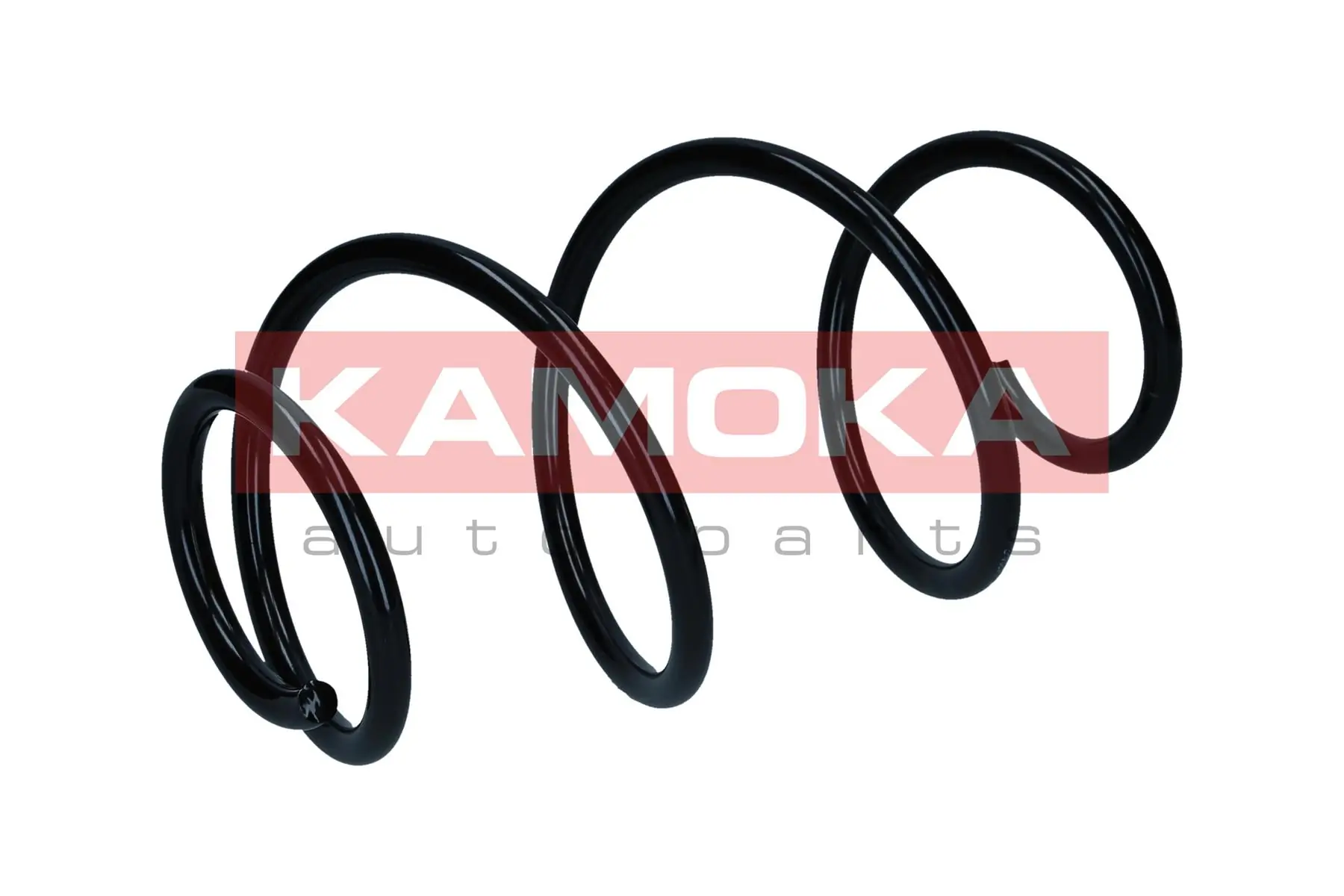 Suspension Spring 2110587