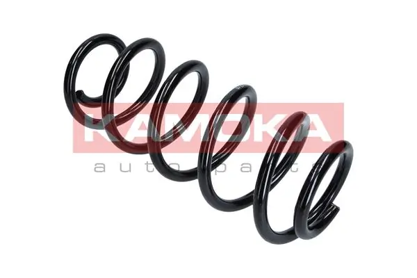 Suspension Spring 2110102