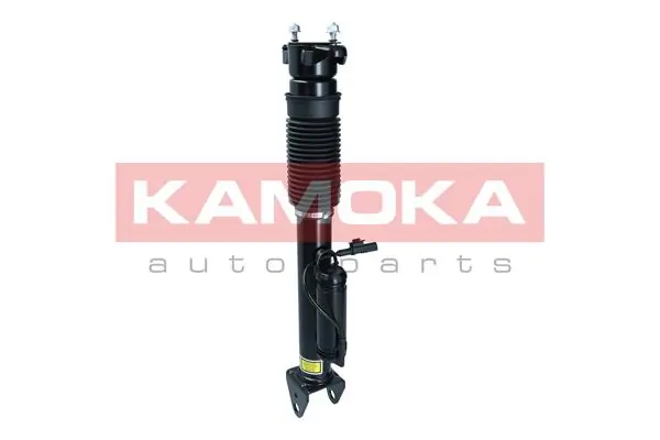 Air Suspension Strut 2070018