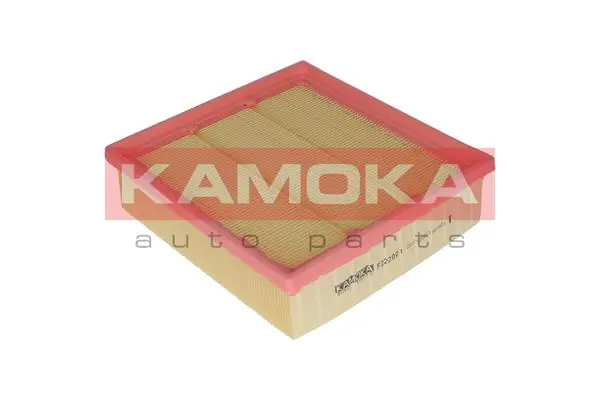 Air Filter F222001