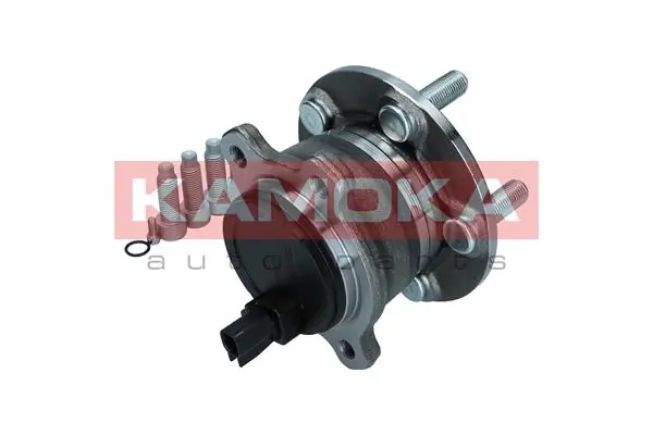 Wheel Bearing Kit 5500243