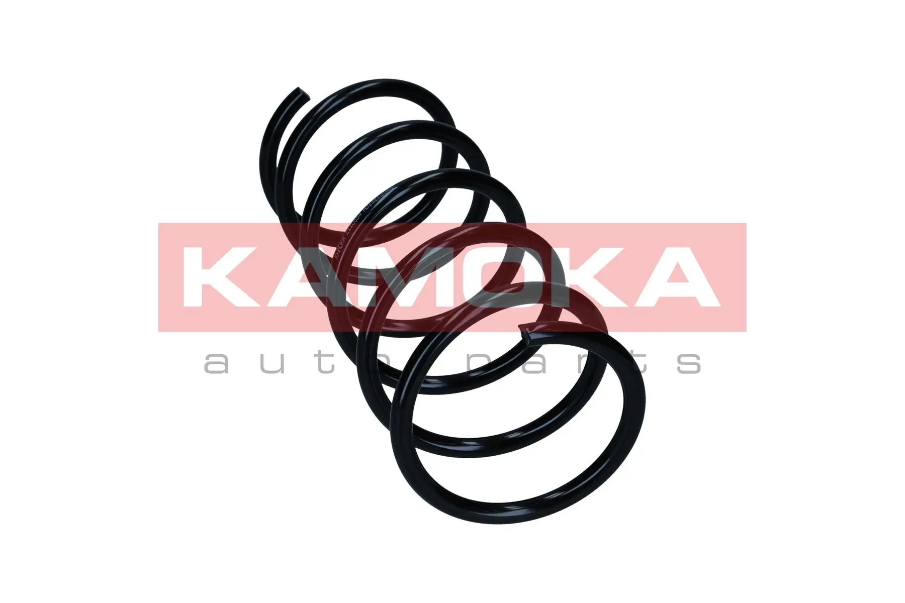 Suspension Spring 2110554