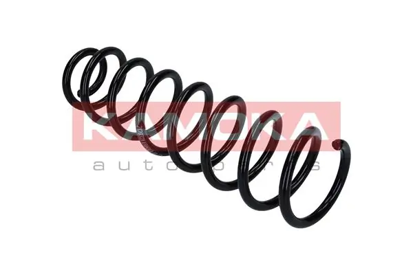 Suspension Spring 2120321