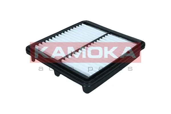 Air Filter F257001