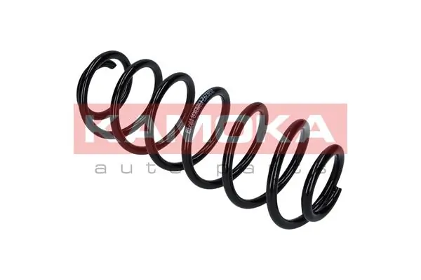 Suspension Spring 2120232