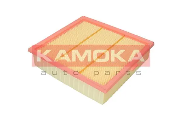 Air Filter F246601
