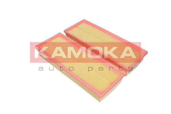 Air Filter F227201