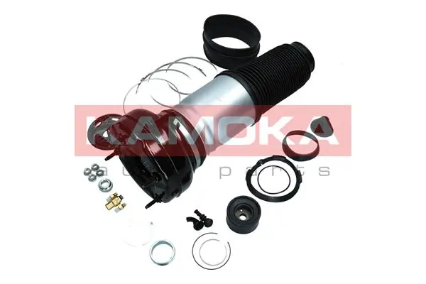 Air Spring, suspension 2079006