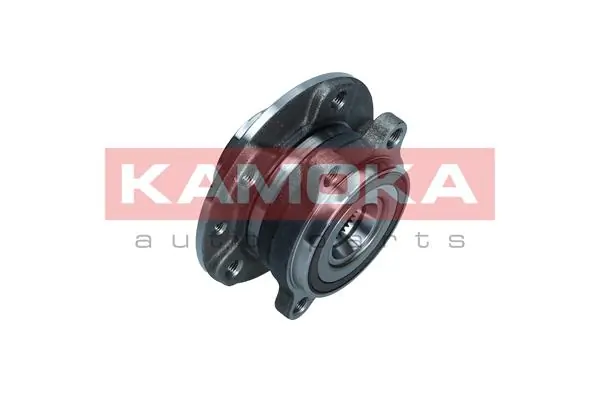 Wheel Bearing Kit 5500324