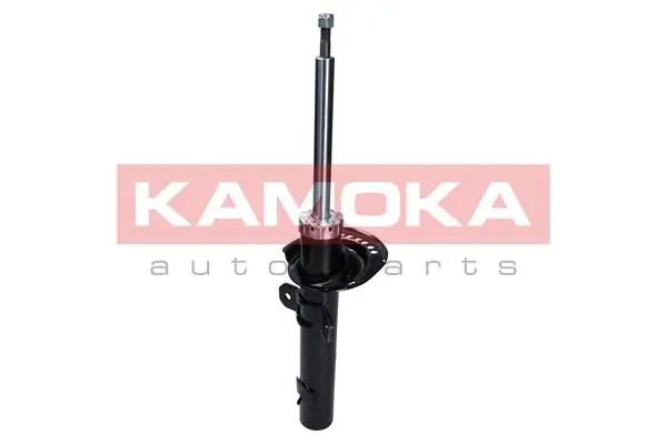 Shock Absorber 2000300