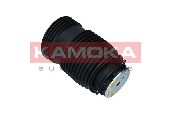 Air Spring, suspension 2079049