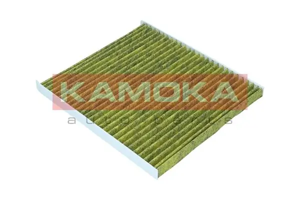 Filter, cabin air 6080098