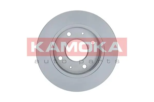 Brake Disc 1031002
