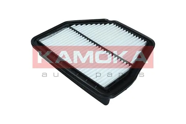 Air Filter F246101
