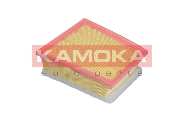 Air Filter F240001