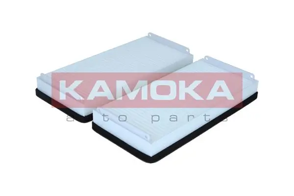 Filter, cabin air F429001