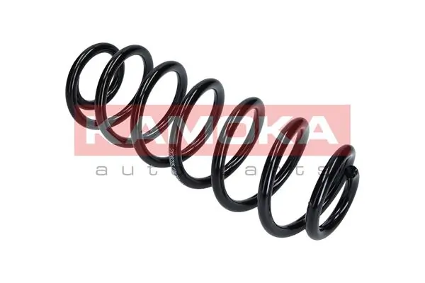 Suspension Spring 2120215