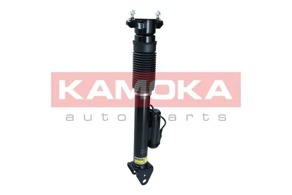 Air Suspension Strut 2070018