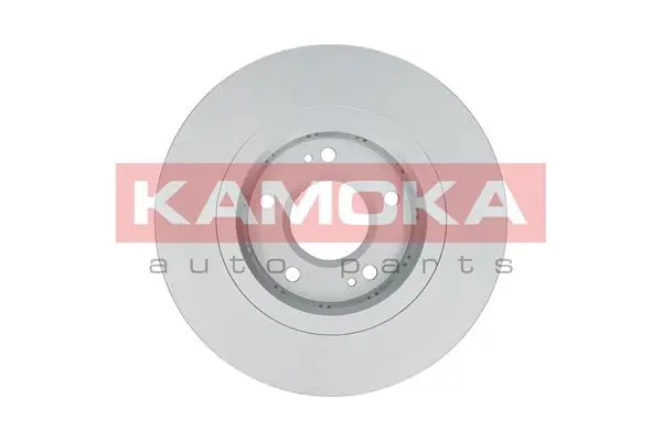 Brake Disc 1031038