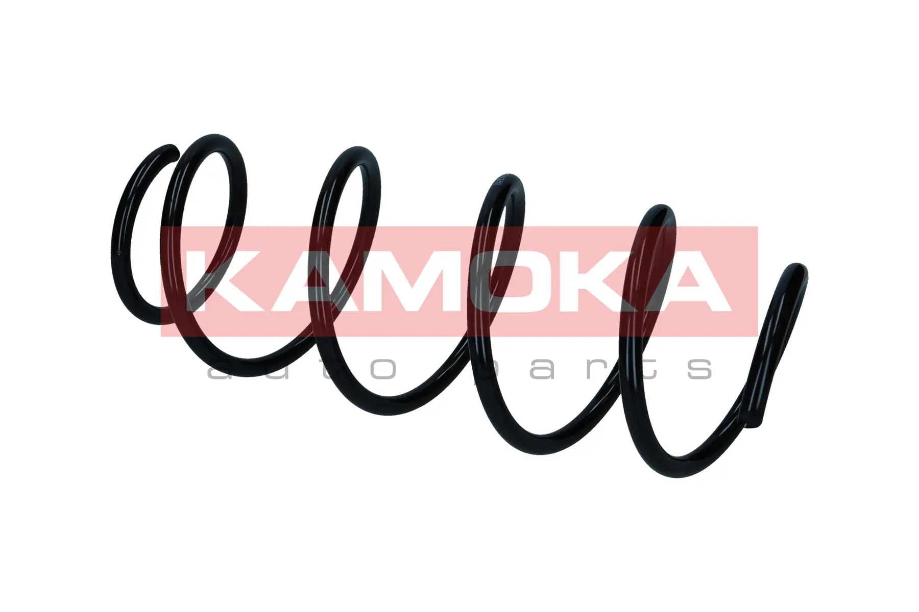 Suspension Spring 2110481