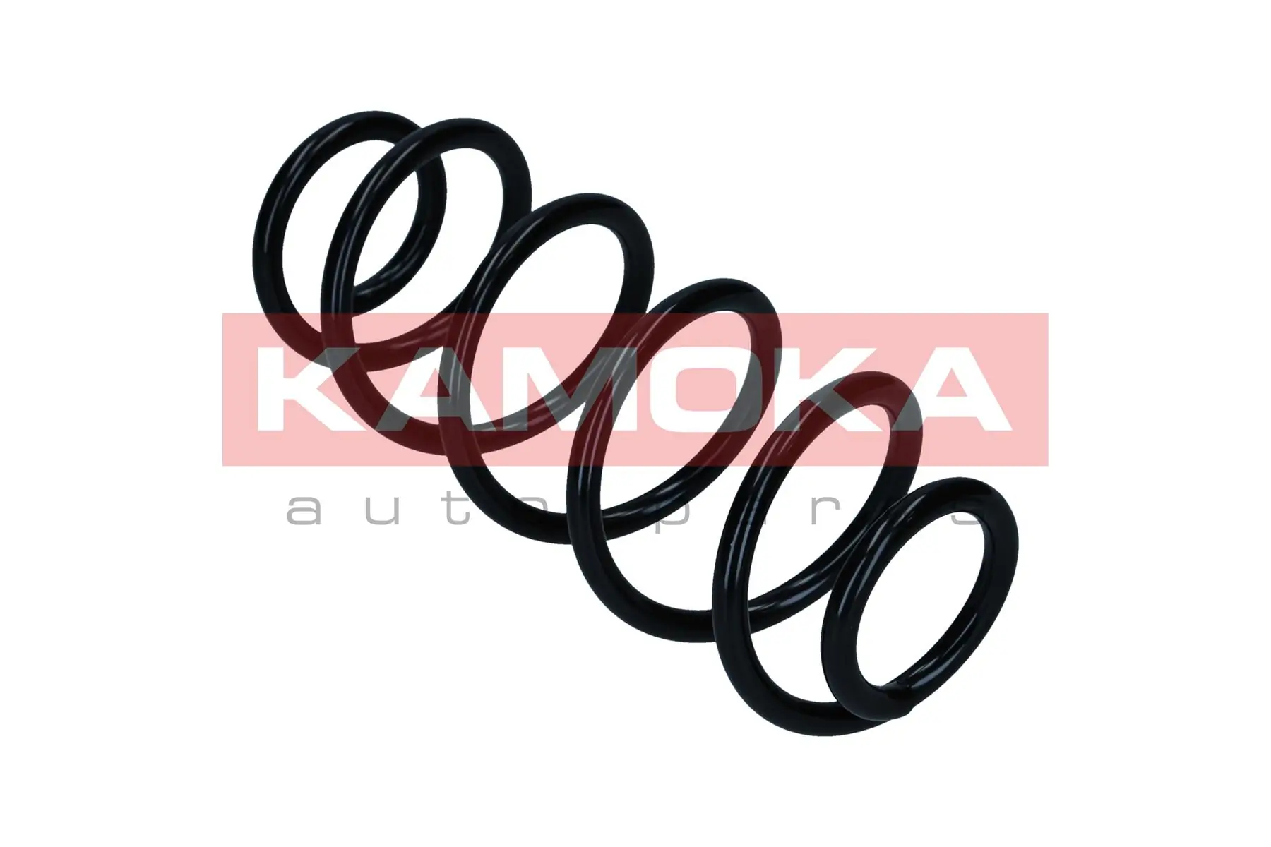 Suspension Spring 2120554