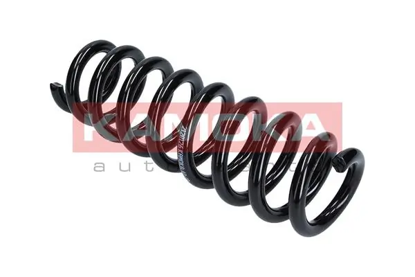 Suspension Spring 2120126