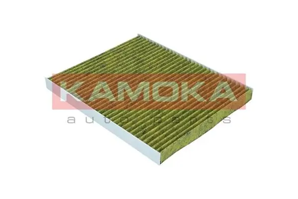 Filter, cabin air 6080095