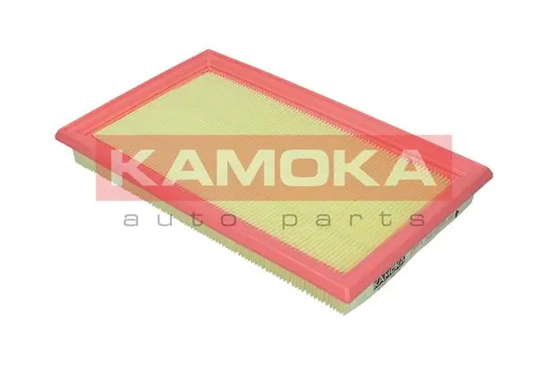 Air Filter F250001