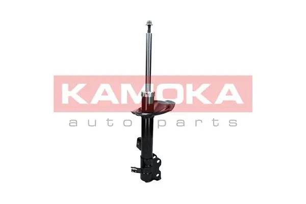 Shock Absorber 2000309