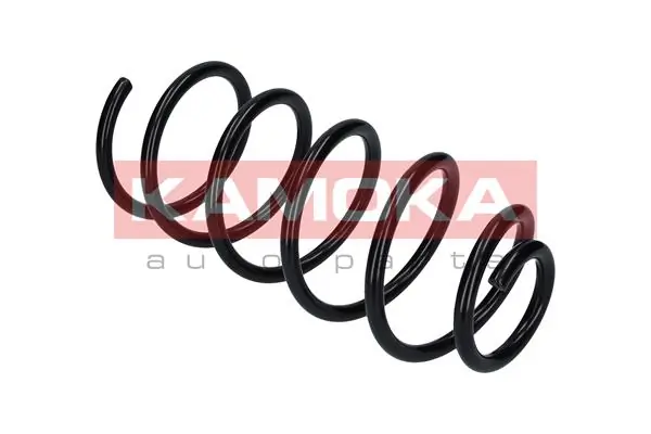 Suspension Spring 2110060