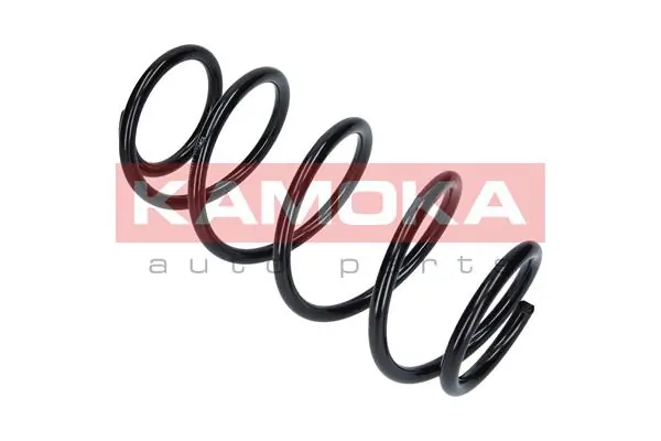 Suspension Spring 2110042