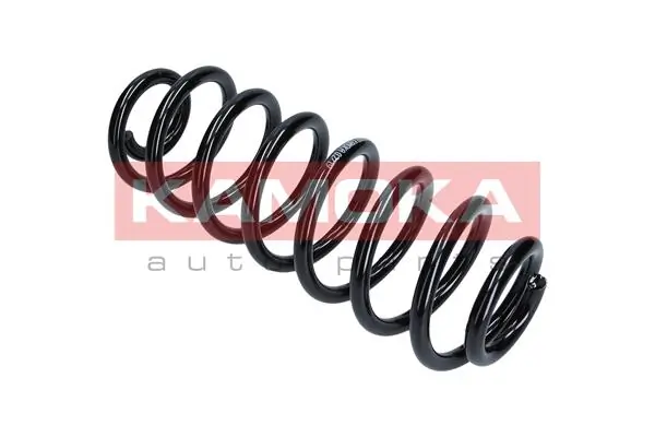 Suspension Spring 2120119