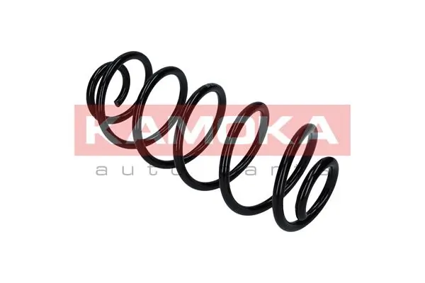 Suspension Spring 2120285