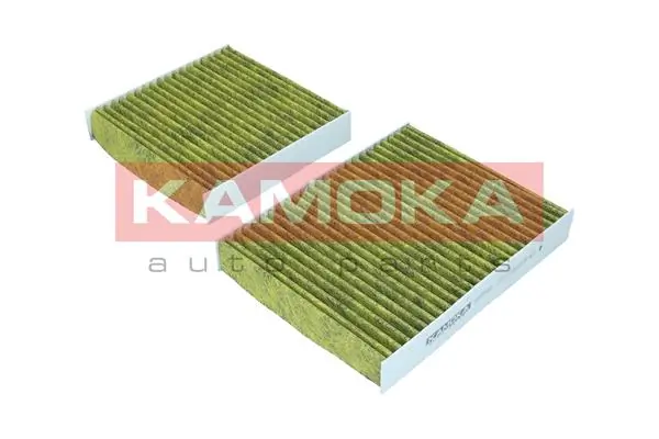 Filter, cabin air 6080040