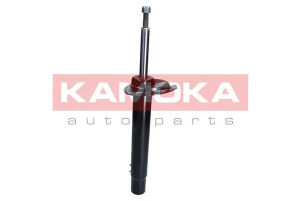 Shock Absorber 2000383