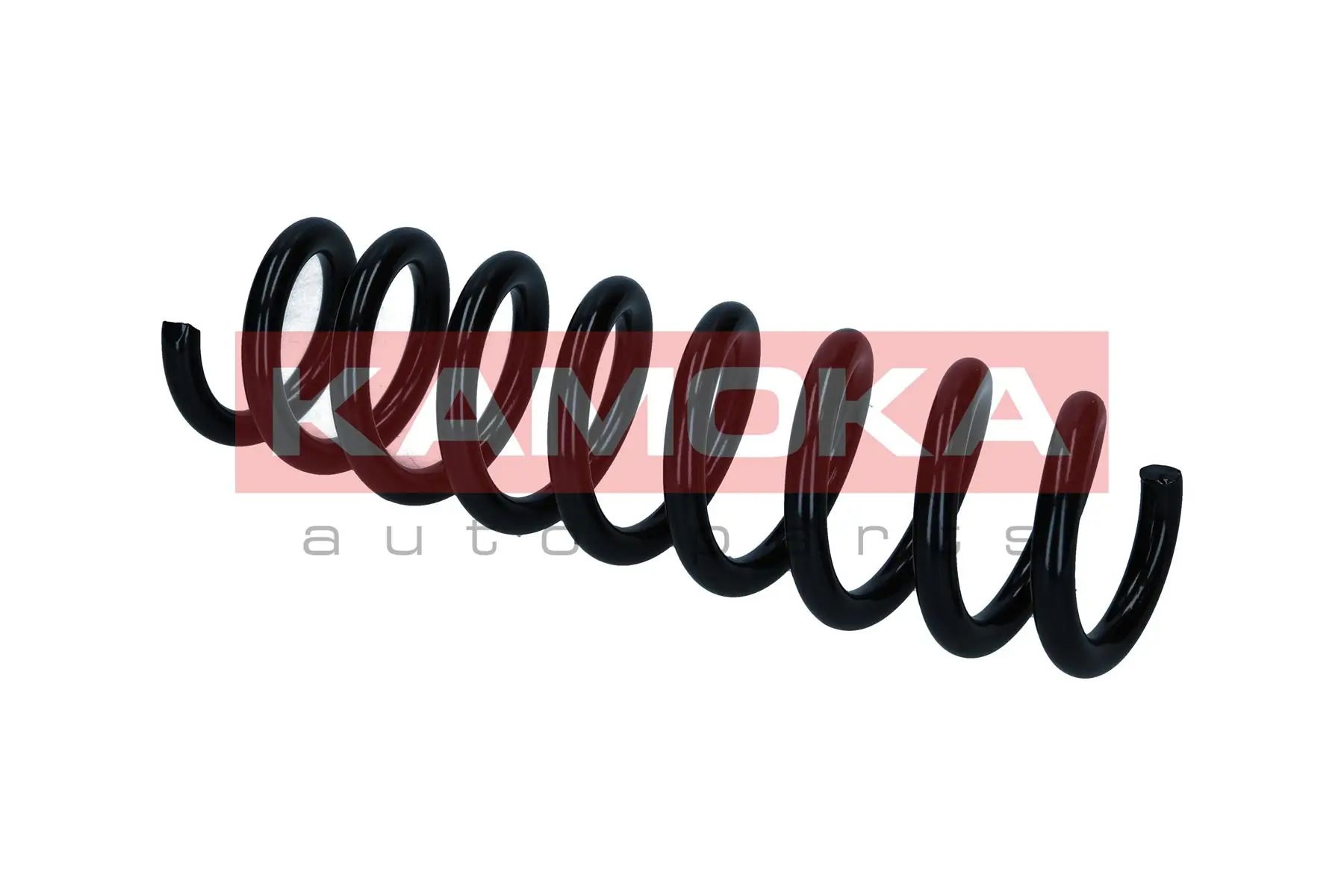 Suspension Spring 2120369